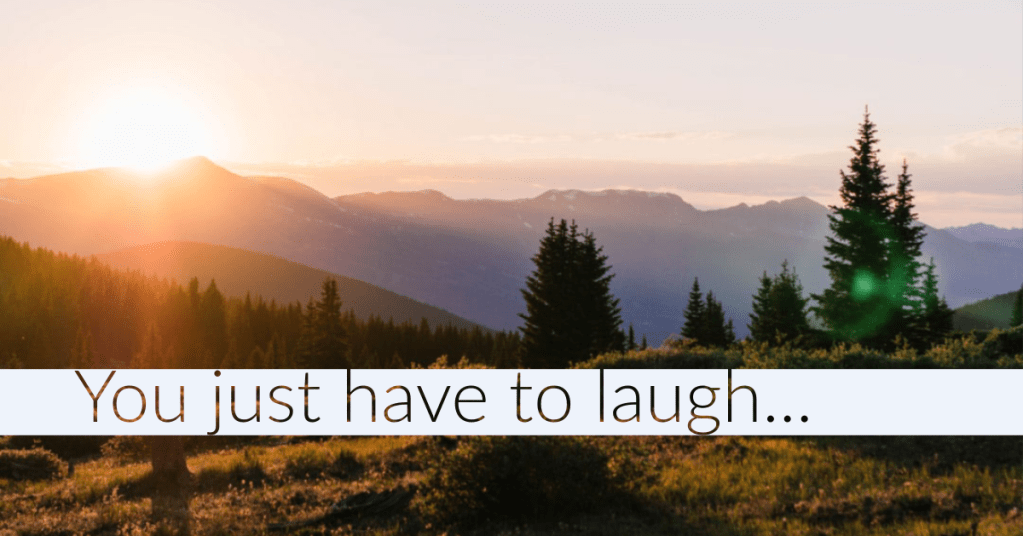 You just have to&nbsp;laugh…