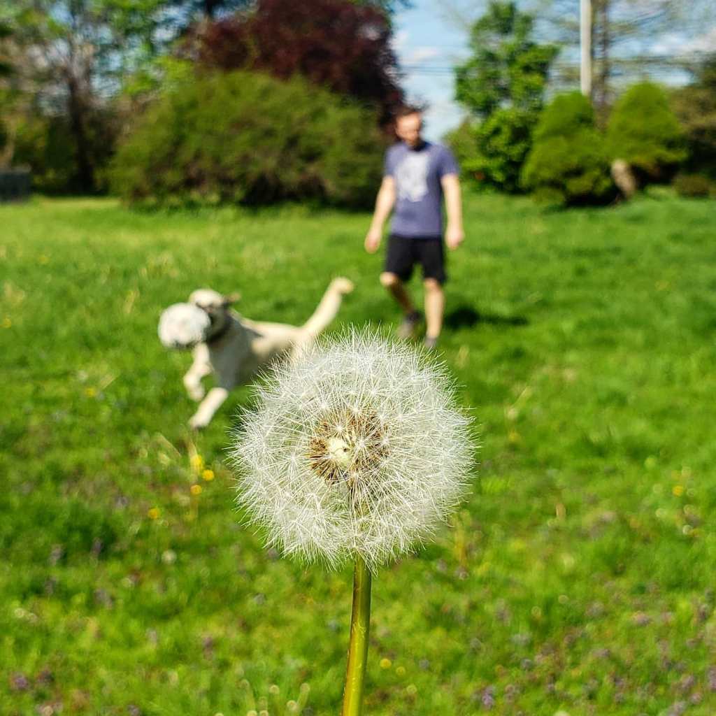 I love this&nbsp;life…