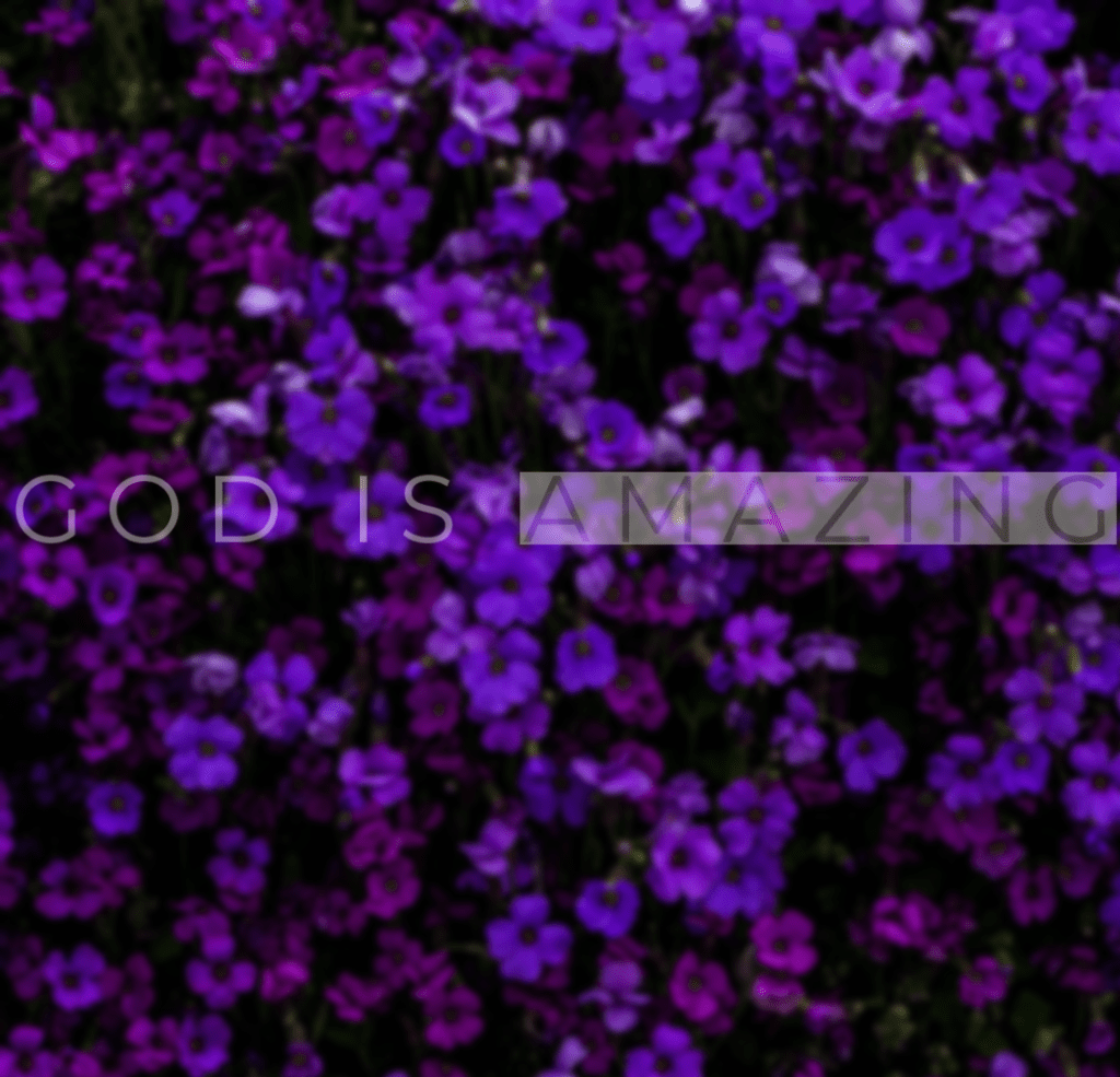 God is Amazing